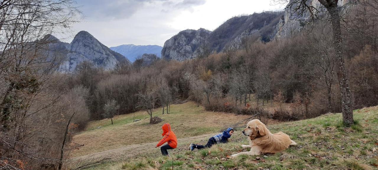 Golemi Kamik Pirot Vlasi Exterior foto