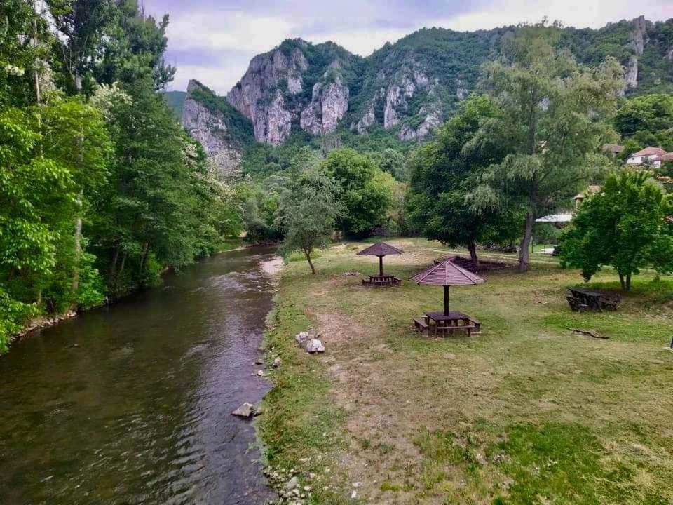 Golemi Kamik Pirot Vlasi Exterior foto