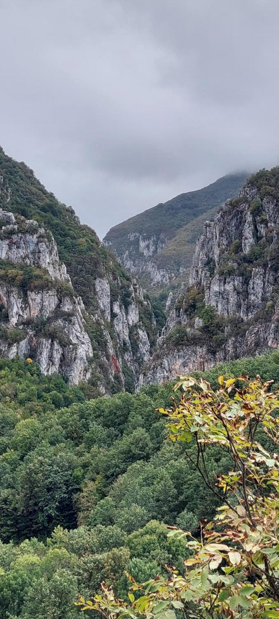 Golemi Kamik Pirot Vlasi Exterior foto